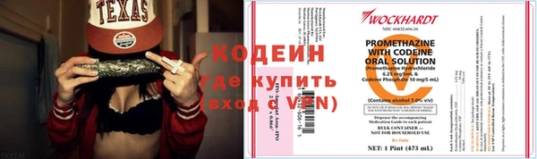 дмт Корсаков