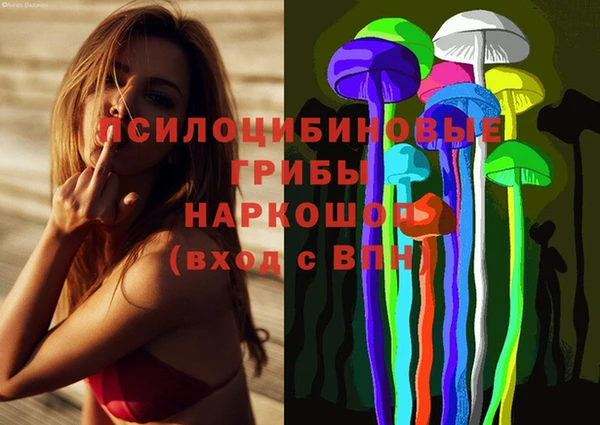 2c-b Костерёво